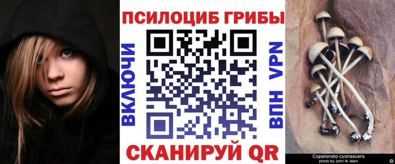 Галлюциногенные грибы GOLDEN TEACHER  Клин 
